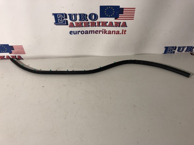 Hood Seal
